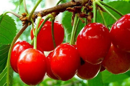 未标题-1.jpg 未标题-1.jpg