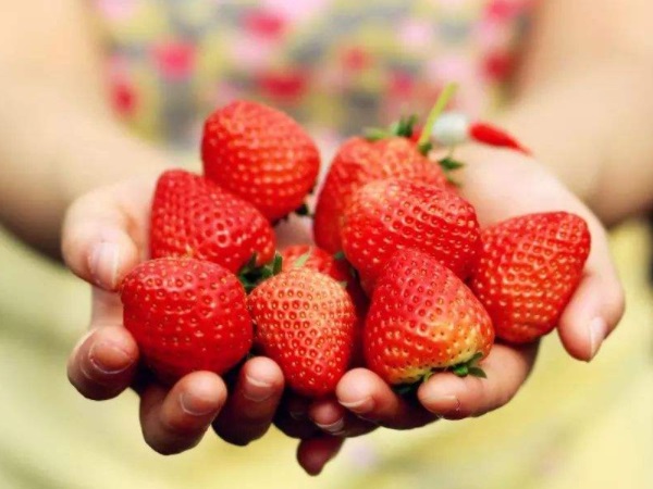 155649841.jpg 155649841.jpg