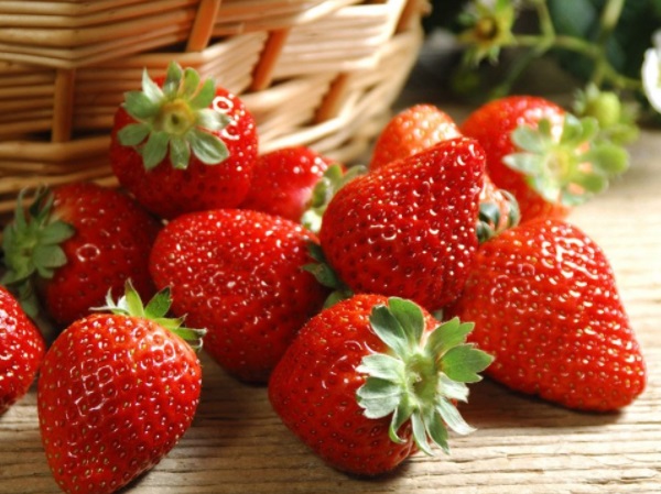 155709961.jpg 155709961.jpg