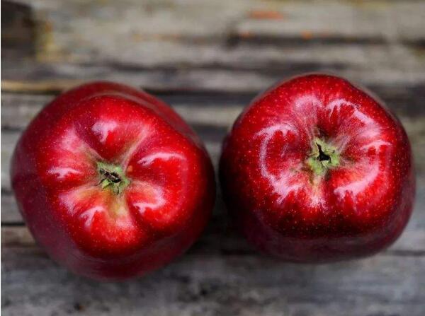 102135221.jpg 102135221.jpg